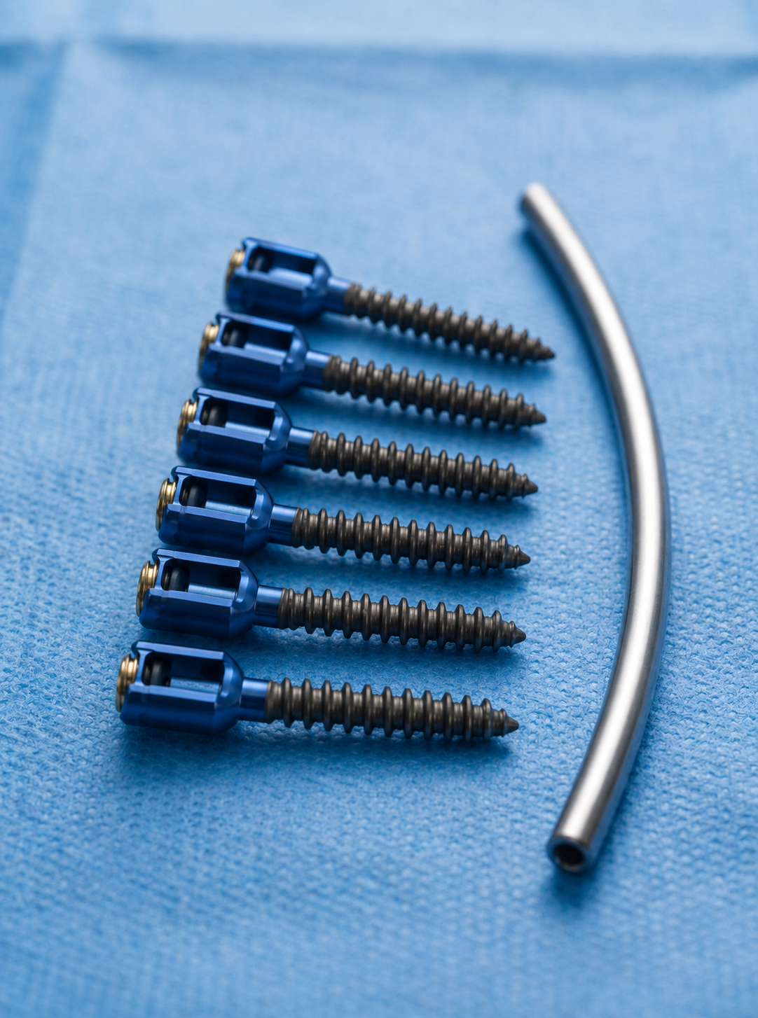 Spinal fixation